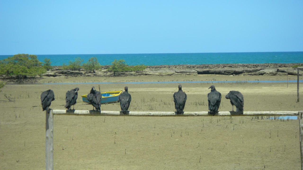 Residencial Praia Dos Corais Coroa Vermelha Luaran gambar